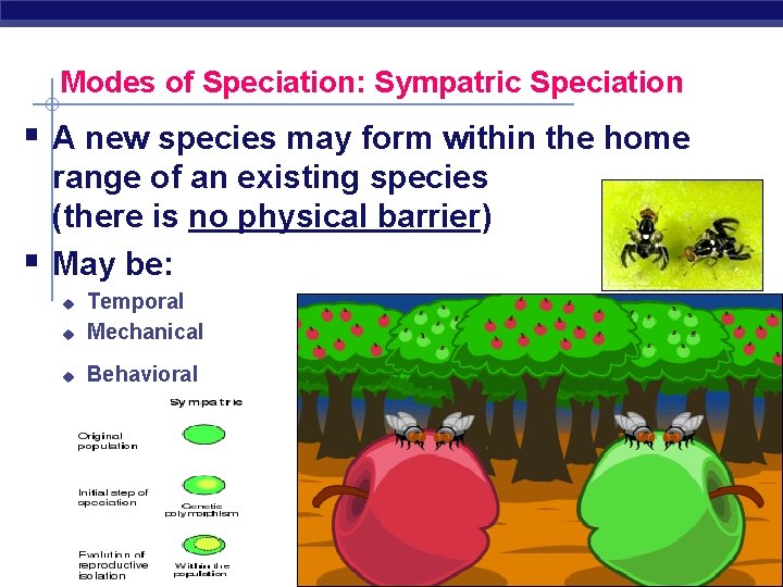 Modes of Speciation: Sympatric Speciation § A new species may form within the home