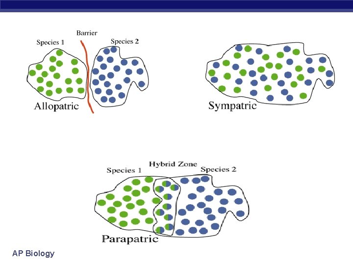 AP Biology 