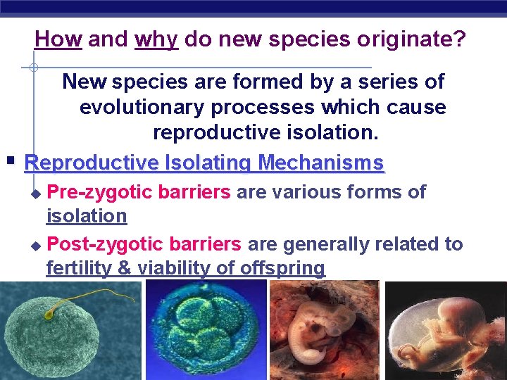 How and why do new species originate? New species are formed by a series