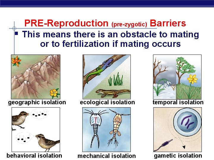 PRE-Reproduction (pre-zygotic) Barriers § This means there is an obstacle to mating or to