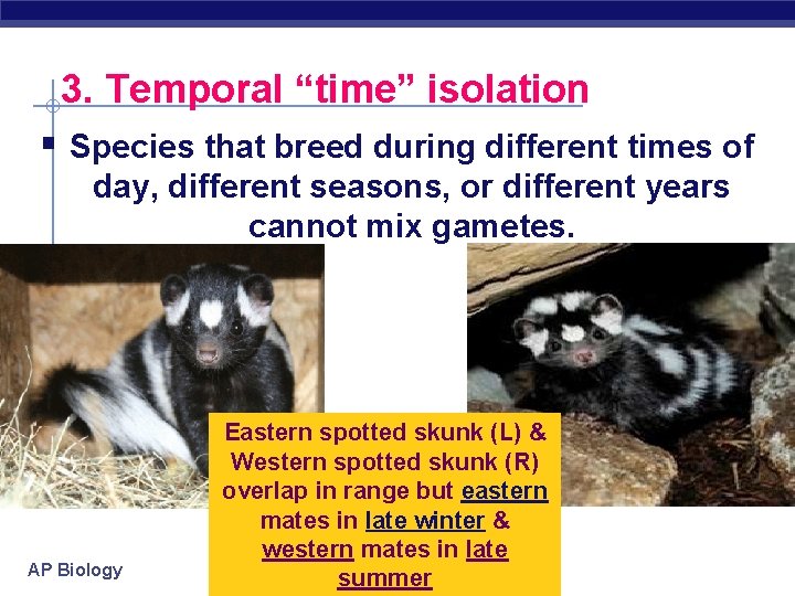 3. Temporal “time” isolation § Species that breed during different times of day, different