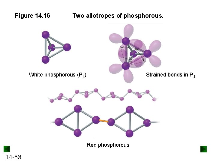 Figure 14. 16 Two allotropes of phosphorous. White phosphorous (P 4) Strained bonds in