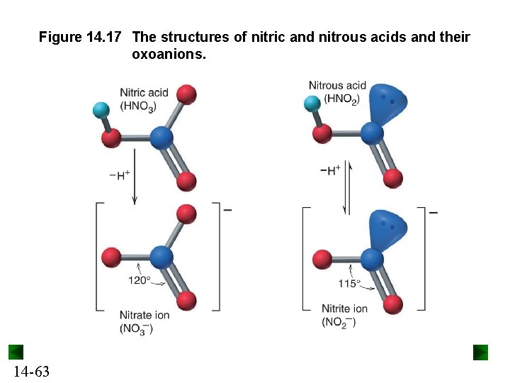 Figure 14. 17 The structures of nitric and nitrous acids and their oxoanions. 14