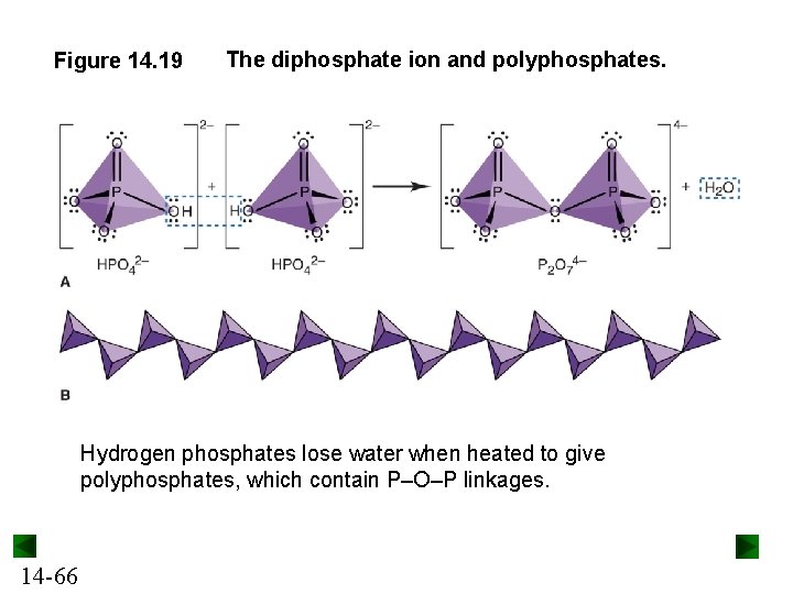 Figure 14. 19 The diphosphate ion and polyphosphates. Hydrogen phosphates lose water when heated