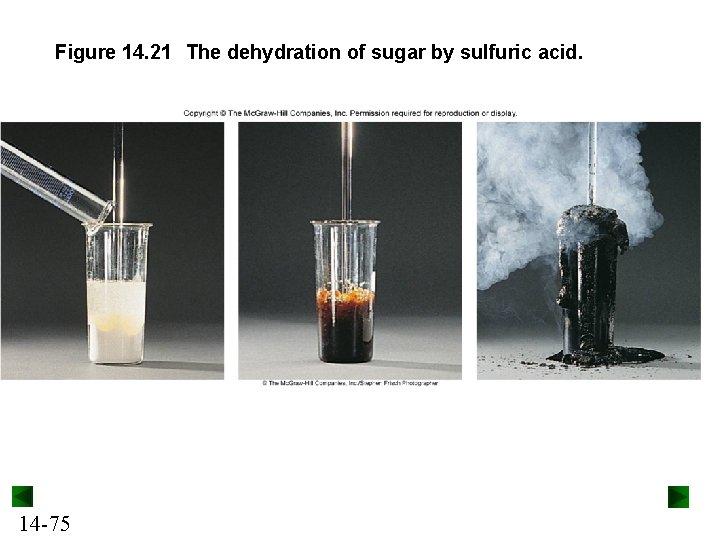 Figure 14. 21 The dehydration of sugar by sulfuric acid. 14 -75 