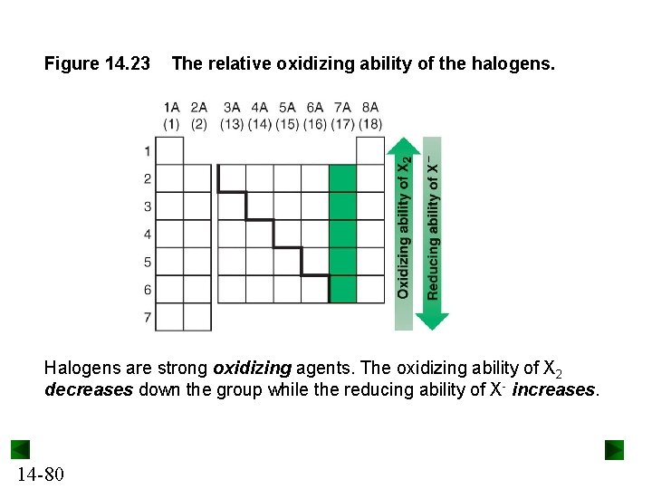 Figure 14. 23 The relative oxidizing ability of the halogens. Halogens are strong oxidizing