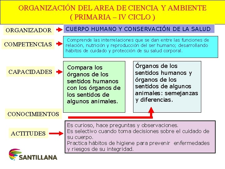 ORGANIZACIÓN DEL AREA DE CIENCIA Y AMBIENTE ( PRIMARIA – IV CICLO ) ORGANIZADOR