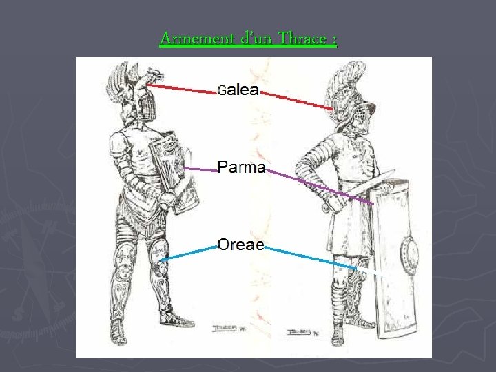 Armement d’un Thrace : 
