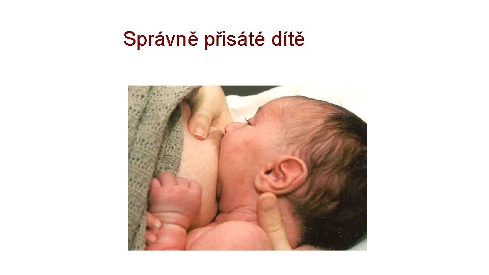 Správně přisáté dítě 