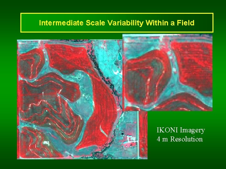 Intermediate Scale Variability Within a Field IKONI Imagery 4 m Resolution 