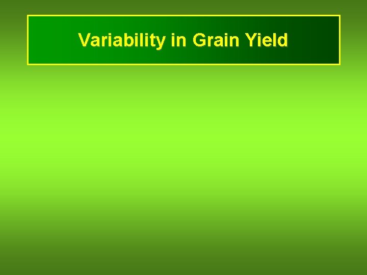 Variability in Grain Yield 