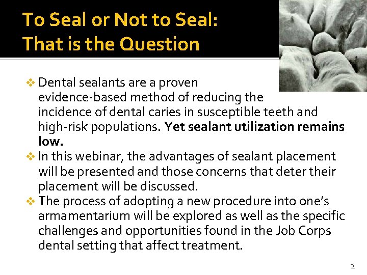 To Seal or Not to Seal: That is the Question v Dental sealants are