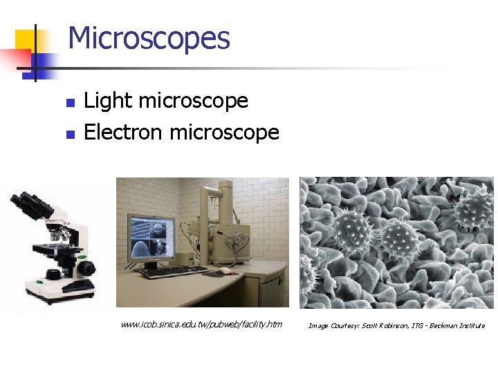 Microscopes n n Light microscope Electron microscope www. icob. sinica. edu. tw/pubweb/facility. htm Image Microscopes n n Light microscope Electron microscope www. icob. sinica. edu. tw/pubweb/facility. htm Image