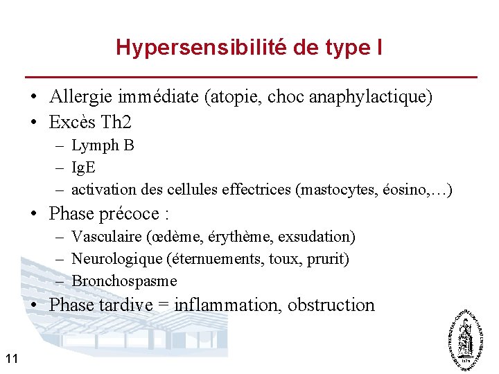 Hypersensibilité de type I • Allergie immédiate (atopie, choc anaphylactique) • Excès Th 2