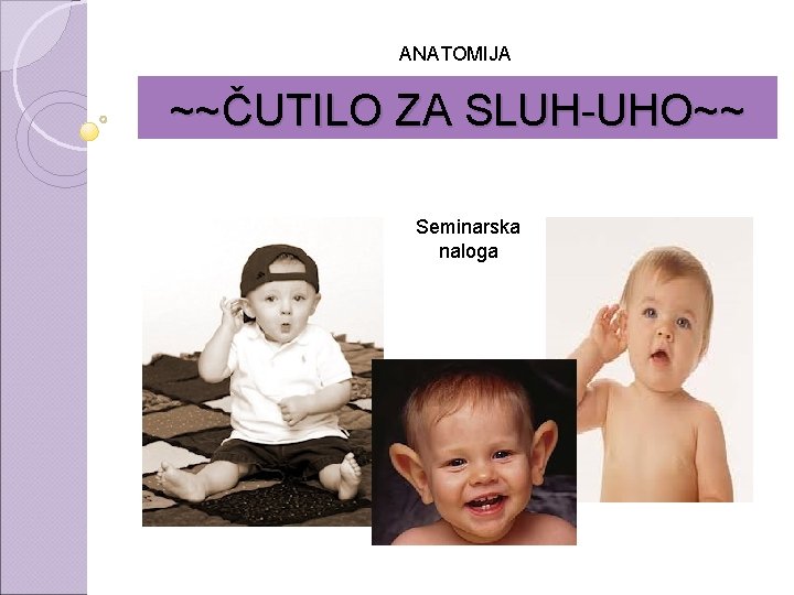 ANATOMIJA ~~ČUTILO ZA SLUH-UHO~~ Seminarska naloga 