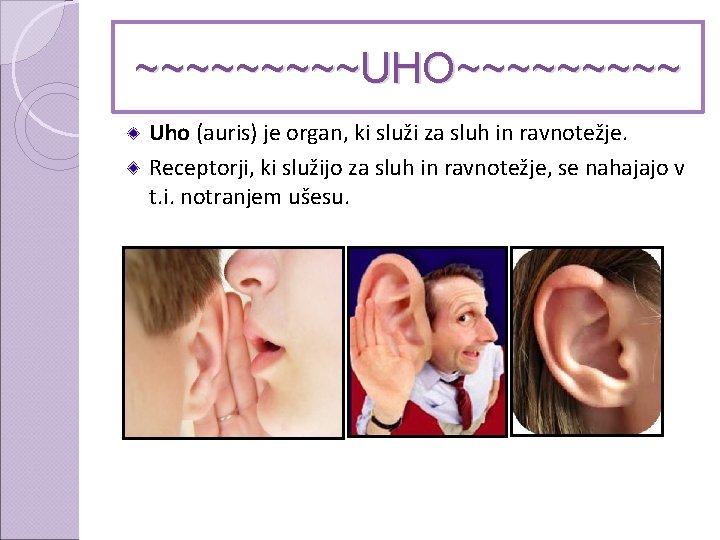 ~~~~~UHO~~~~~ Uho (auris) je organ, ki služi za sluh in ravnotežje. Receptorji, ki služijo