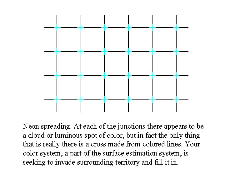 Neon spreading. At each of the junctions there appears to be a cloud or