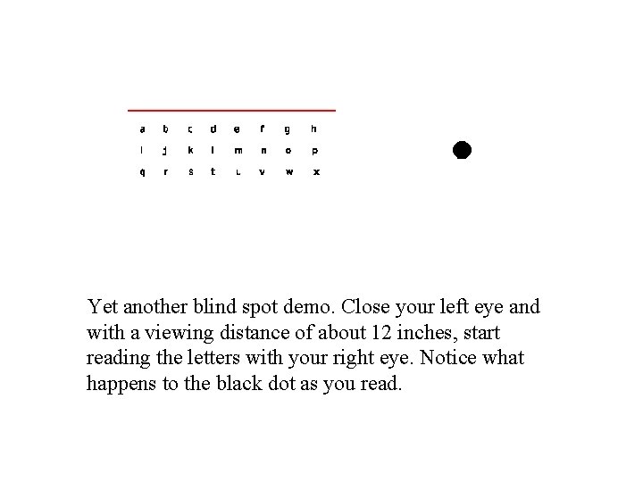 Yet another blind spot demo. Close your left eye and with a viewing distance