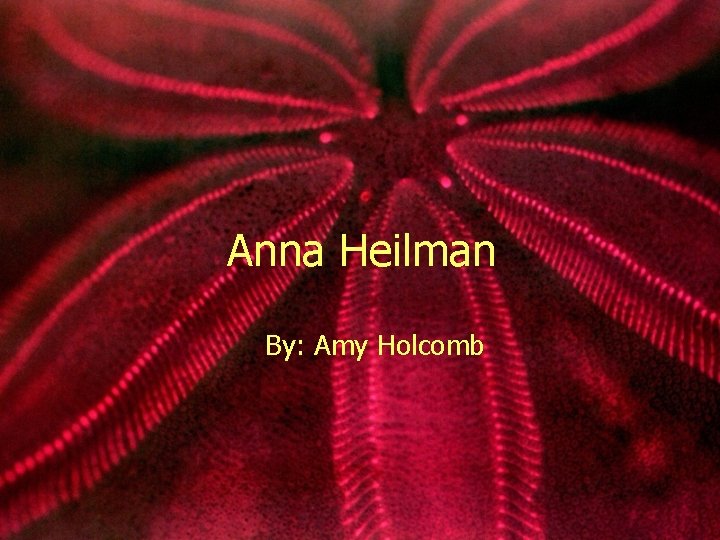 Anna Heilman By: Amy Holcomb 