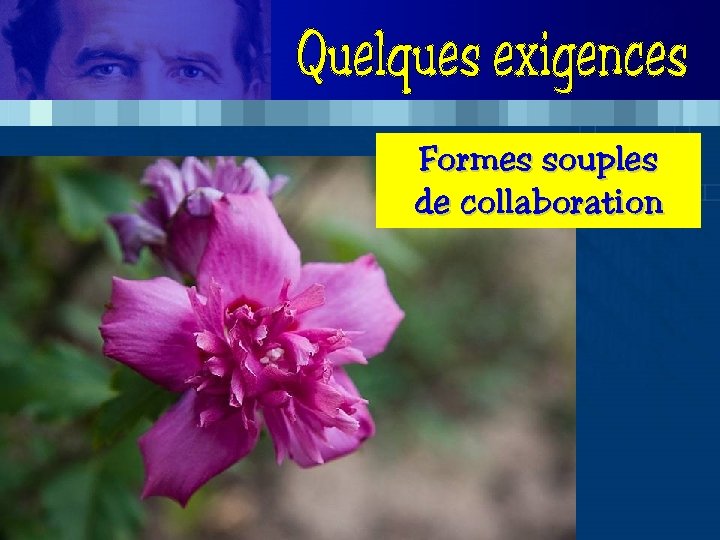 Formes souples de collaboration 