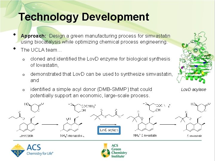 Technology Development • • Approach: Design a green manufacturing process for simvastatin using biocatalysis