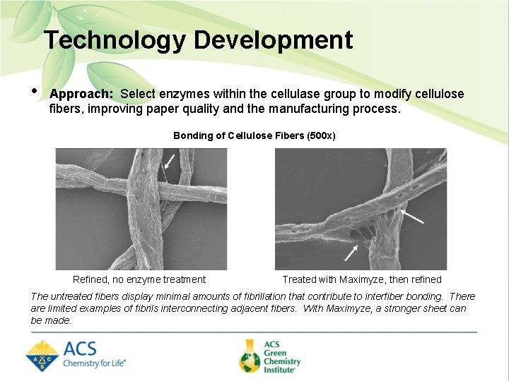 Technology Development • Approach: Select enzymes within the cellulase group to modify cellulose fibers,