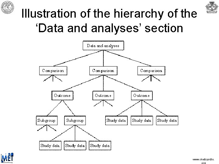 Illustration of the hierarchy of the ‘Data and analyses’ section www. metcardio. Illustration of the hierarchy of the ‘Data and analyses’ section www. metcardio.