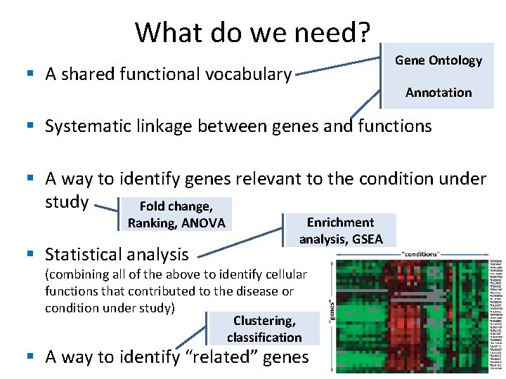 What do we need? Gene Ontology § A shared functional vocabulary Annotation § Systematic