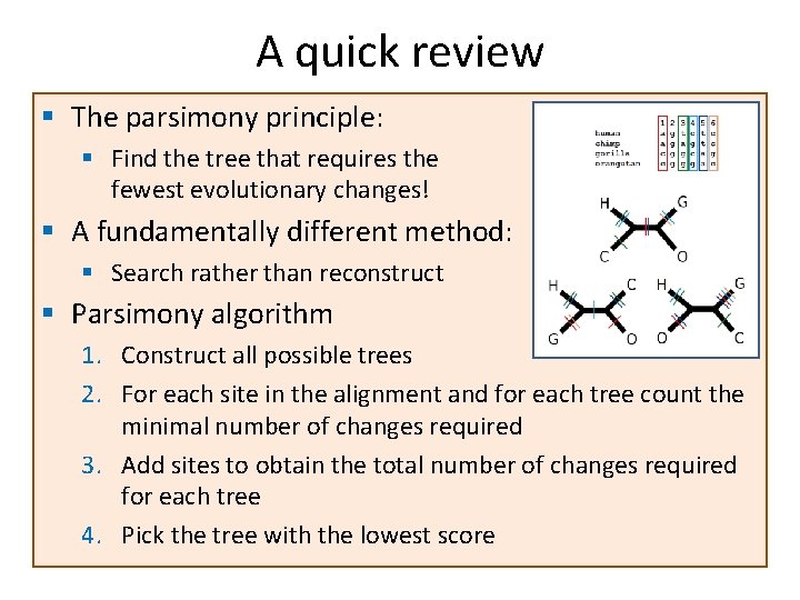 A quick review § The parsimony principle: § Find the tree that requires the