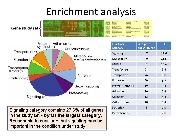 Enrichment analysis Functional category Signaling category contains 27. 6% of all genes in the