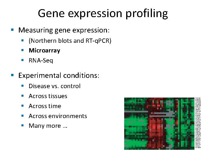 Gene expression profiling § Measuring gene expression: § (Northern blots and RT-q. PCR) §