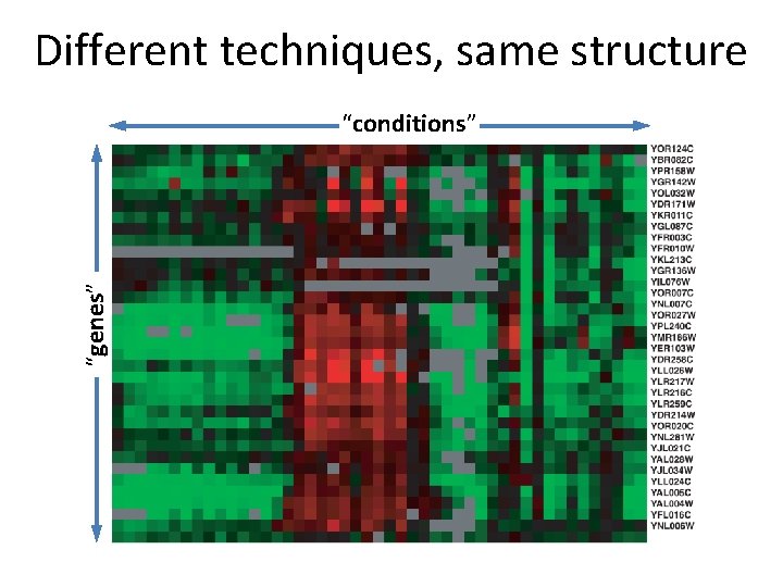 Different techniques, same structure “genes” “conditions” 