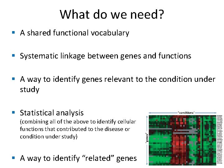 What do we need? § A shared functional vocabulary § Systematic linkage between genes