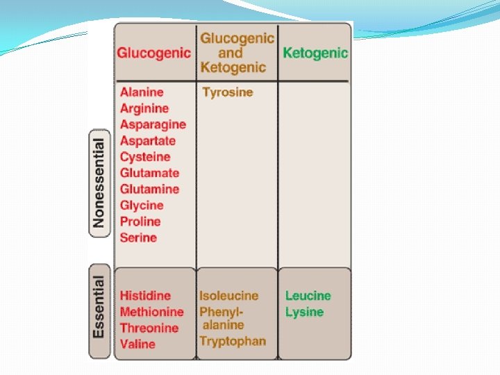 Glucogenic Ketogenic Amino Acids Dr Amina Biochemistry All