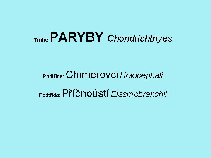 Třída: PARYBY Chondrichthyes Podtřída: Chimérovci Holocephali Příčnoústí Elasmobranchii 