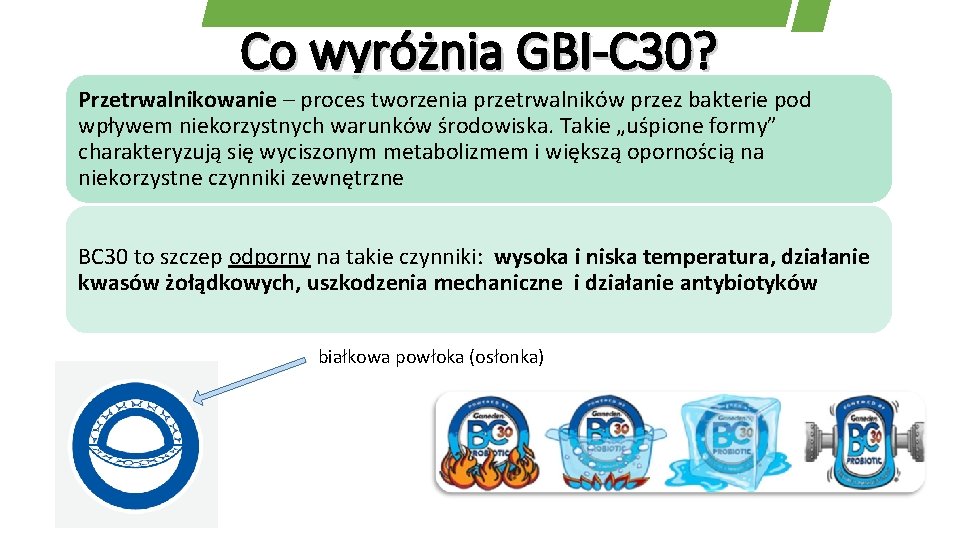 Co wyróżnia GBI-C 30? Przetrwalnikowanie – proces tworzenia przetrwalników przez bakterie pod wpływem niekorzystnych