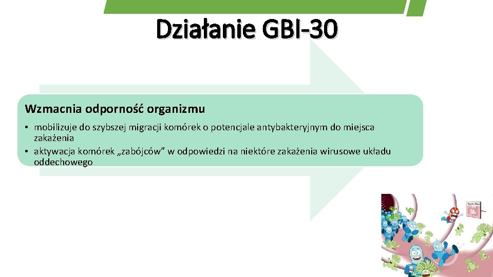 Działanie GBI-30 Wzmacnia odporność organizmu • mobilizuje do szybszej migracji komórek o potencjale antybakteryjnym