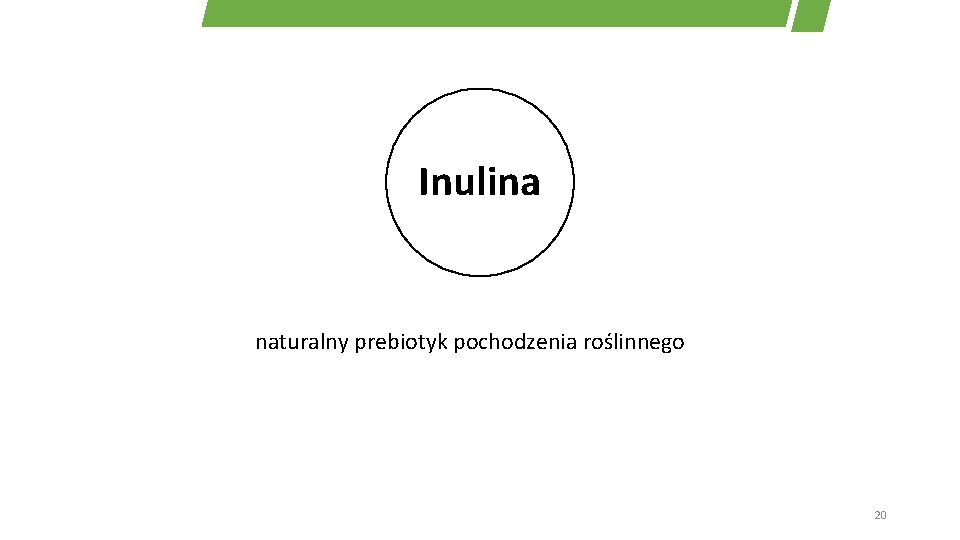 Inulina naturalny prebiotyk pochodzenia roślinnego 20 