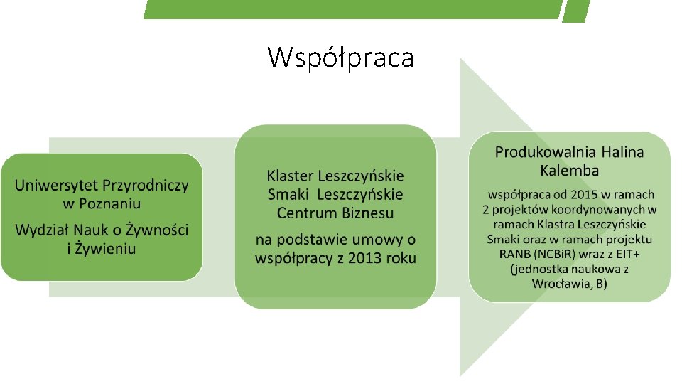 Współpraca 