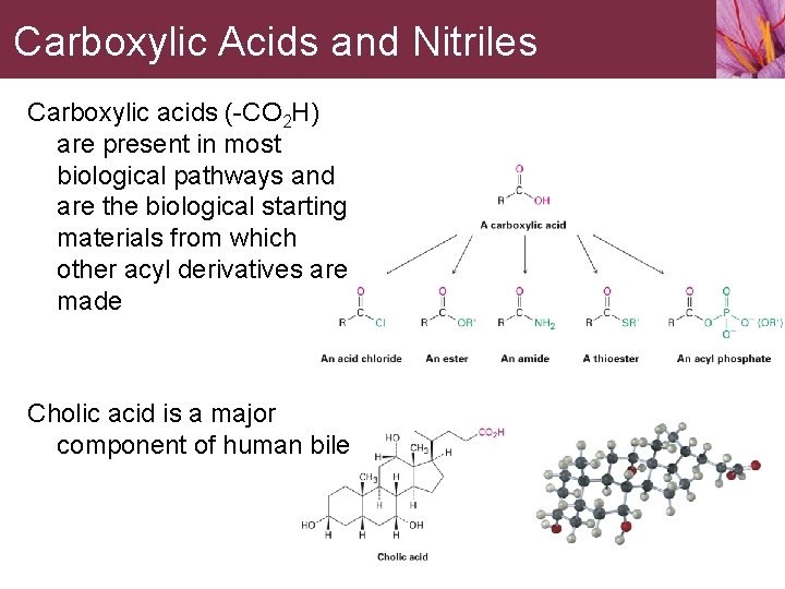 Carboxylic Acids and Nitriles Carboxylic acids (-CO 2 H) are present in most biological