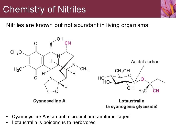 Chemistry of Nitriles are known but not abundant in living organisms • Cyanocycline A