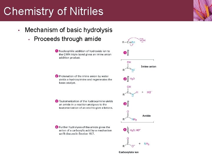 Chemistry of Nitriles • Mechanism of basic hydrolysis • Proceeds through amide 