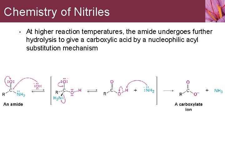 Chemistry of Nitriles • At higher reaction temperatures, the amide undergoes further hydrolysis to