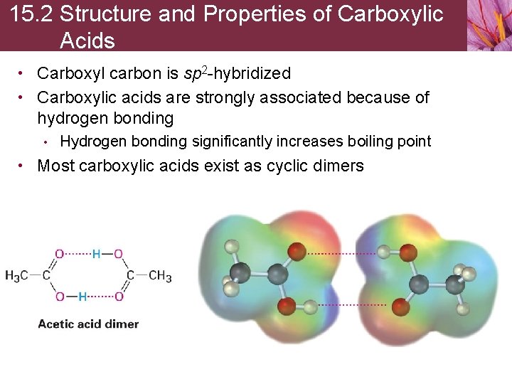 15. 2 Structure and Properties of Carboxylic Acids • Carboxyl carbon is sp 2