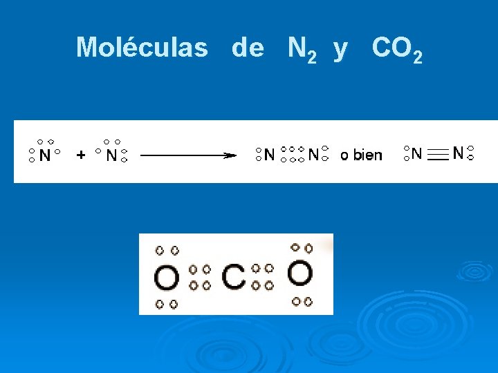 Moléculas de N 2 y CO 2 