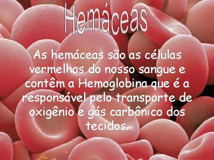 As hemáceas são as células vermelhas do nosso sangue e contêm a Hemoglobina que