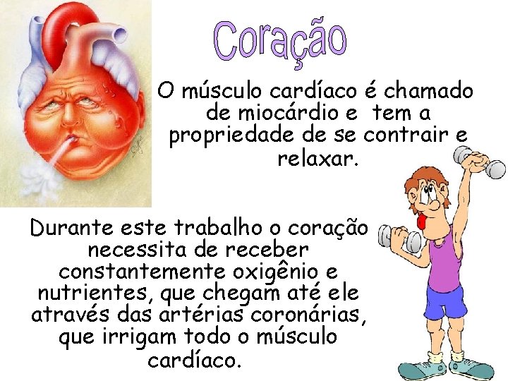  O músculo cardíaco é chamado de miocárdio e tem a propriedade de se