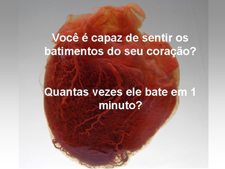 Você é capaz de sentir os batimentos do seu coração? Quantas vezes ele bate