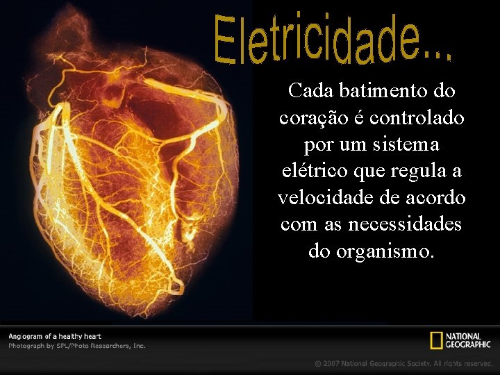 Cada batimento do coração é controlado por um sistema elétrico que regula a velocidade