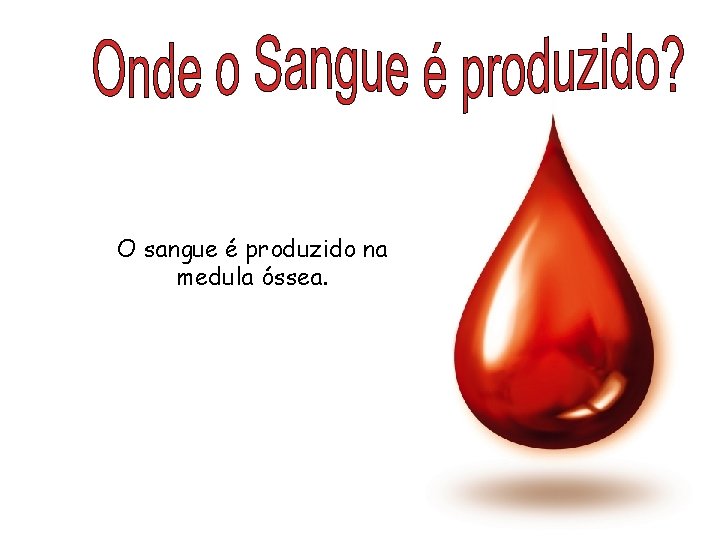 O sangue é produzido na medula óssea. 